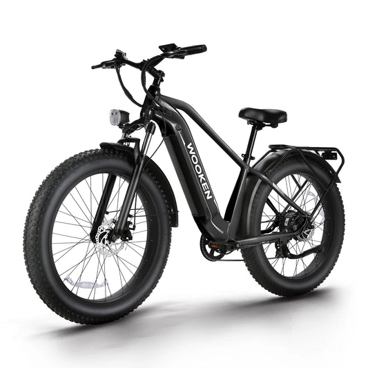 Amak Fat Tire Electric Bike 1500W 48V 720Wh Battery