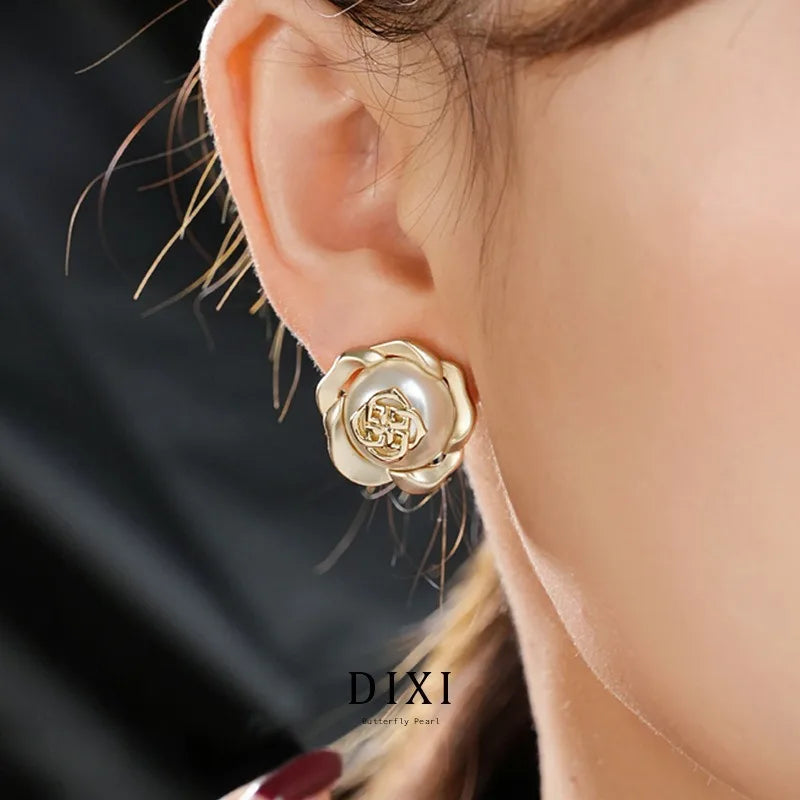 DAK2284 Premium Light Luxury Korean Edition Earrings