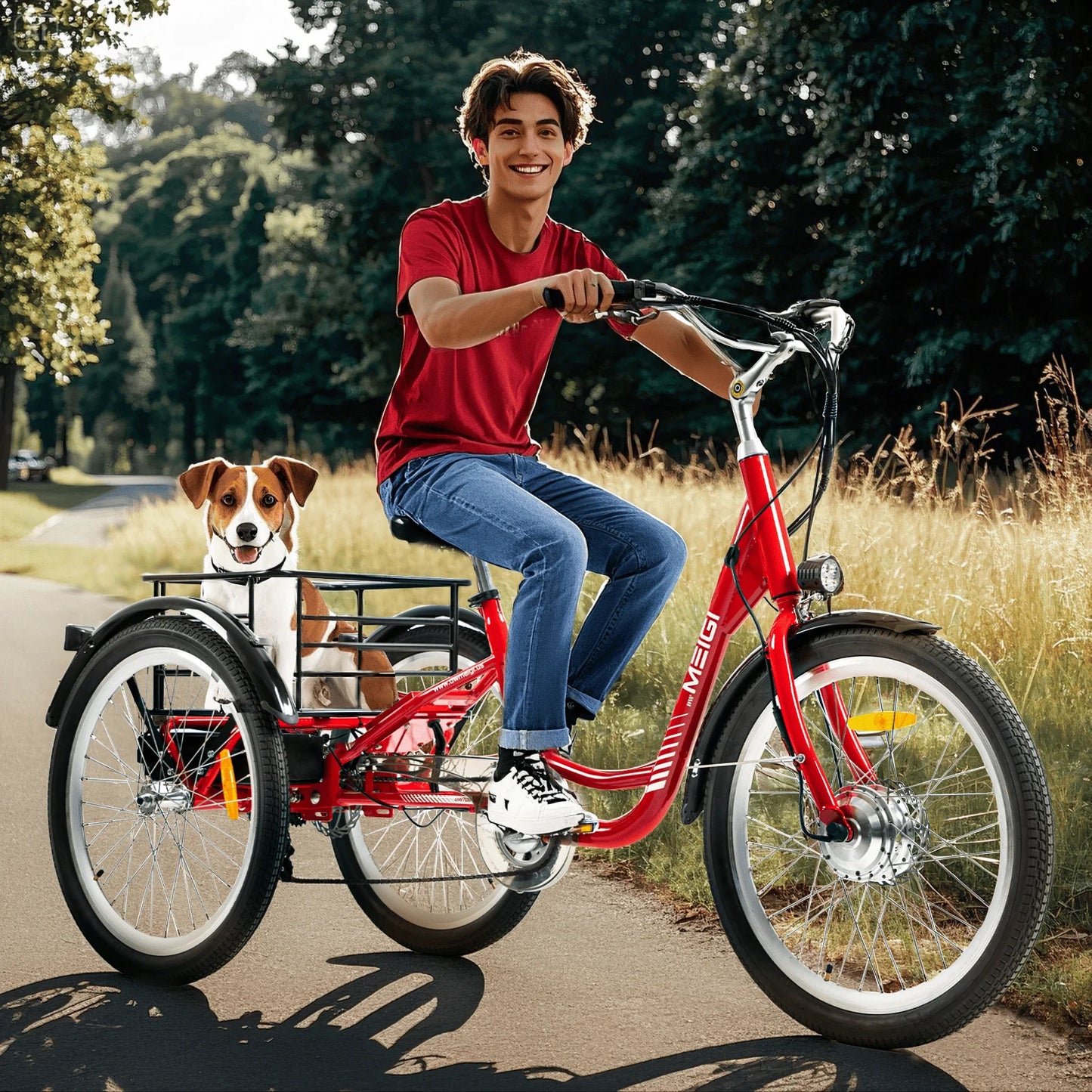 Three Wheel Electric Cargo Tricycle For Adults 750W 36V