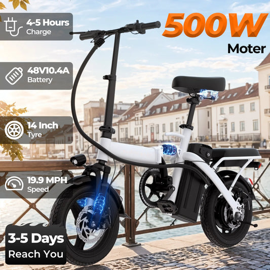 LELEKUAIC Foldable Electric Bike 500W Removable Battery