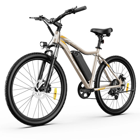 5TH WHEEL AB17 Electric Bike With Front Suspension HighDefinition LongRangeDisplay