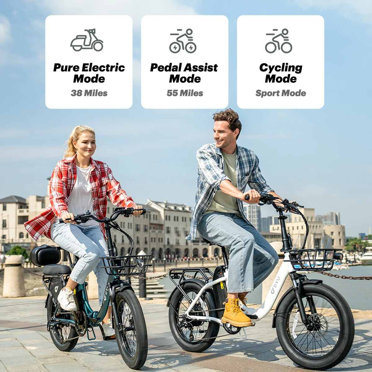 DYU C9 Folding Electric Bike 250W City Commuter