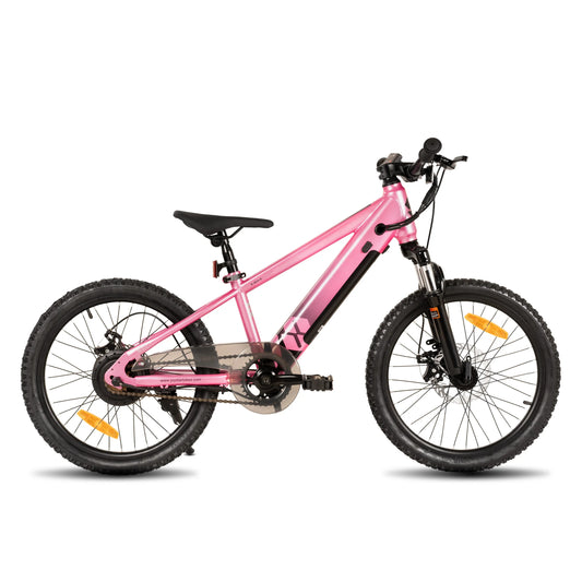 Joystare Electric Bike For Kids And Teens 250W Motor 15 Mile Range 15 MPH Mountain Bike